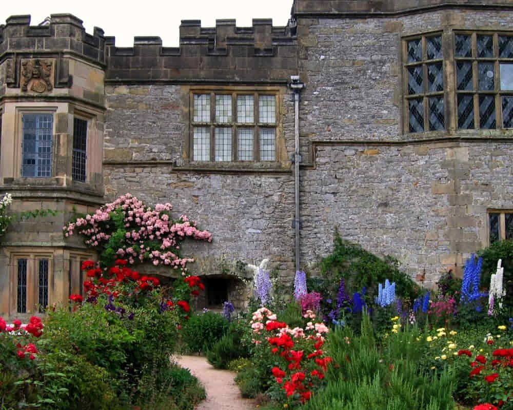 3398460118_f2fe11d349_h1000 首頁