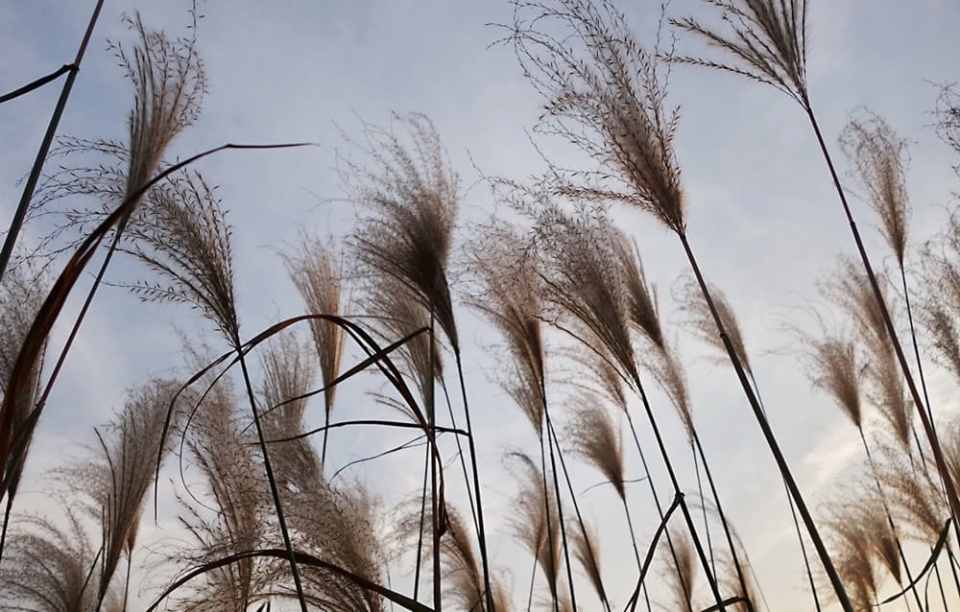 3c41d-20210920213705_16 寒露養生，全方位保濕防乾不露腳