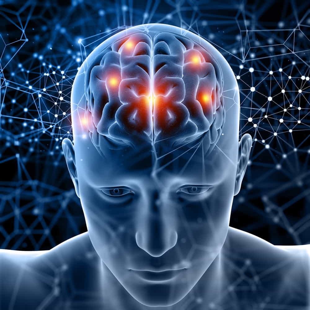 3d-medical-figure-with-brain-highlighted1000 熬夜真的會讓人變笨嗎?