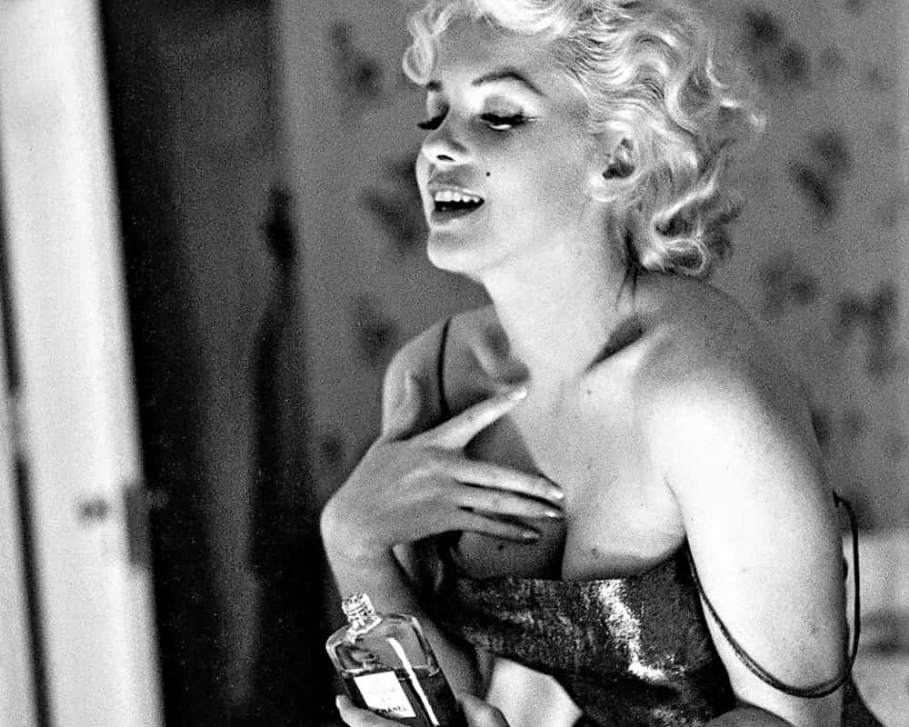 48310928546_3c62965e37_k1000 首頁