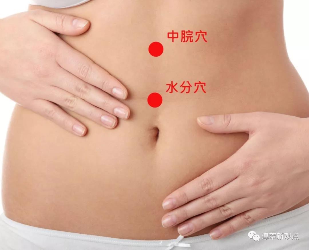 785495e8j0r 三伏天把握養脾祛濕黃金期