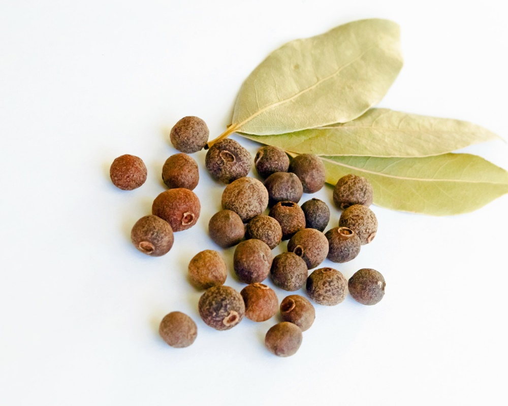 allspice-1638791000800玉桂子 玉桂子精油功效百科