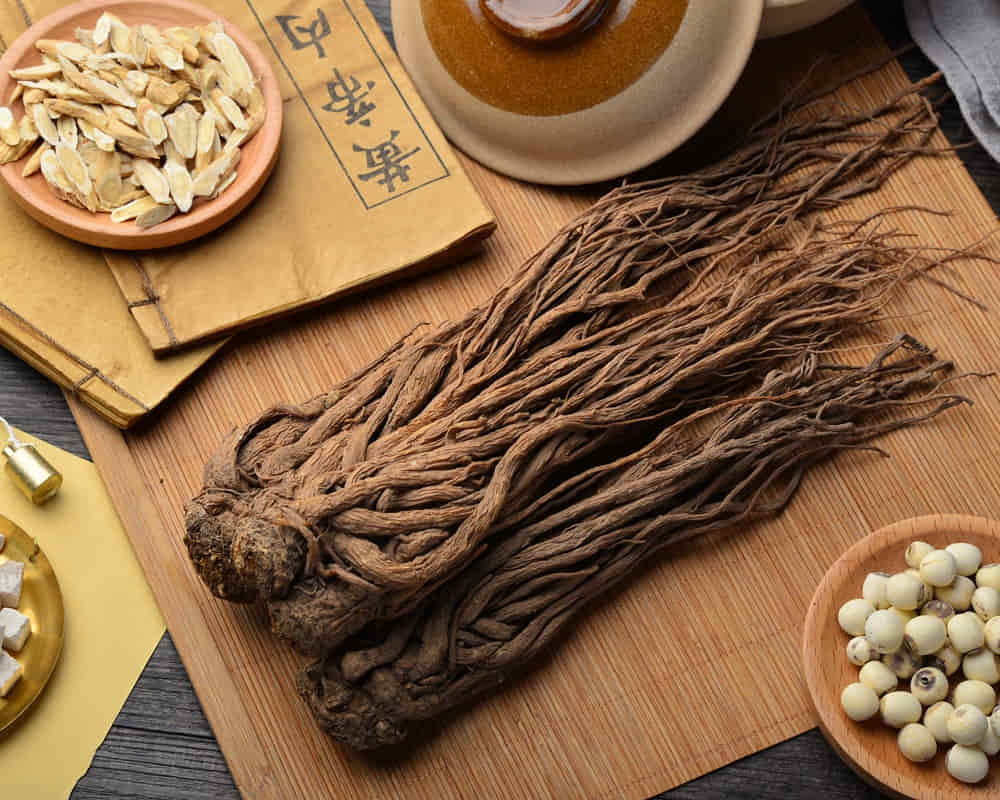 angelica-ancient-chinese-medicine-books-herbs-table1000800 宮寒使人不孕,宮寒讓女人問題叢生