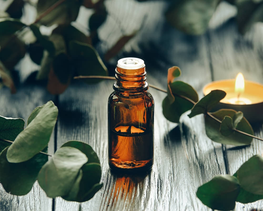 eucalyptus-oil-eucalyptus-leaves1000800 香氛蠟燭浪漫中毒!?化學芳香劑危害大