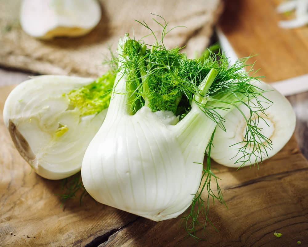 fresh-raw-fennel1000800 茴香精油功效百科