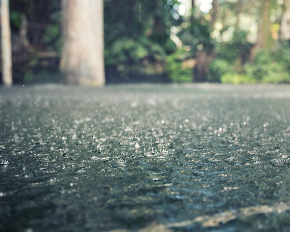 heavy-rain1000800 體內的濕氣與痰濕體質經絡穴位按摩法怎麼做?