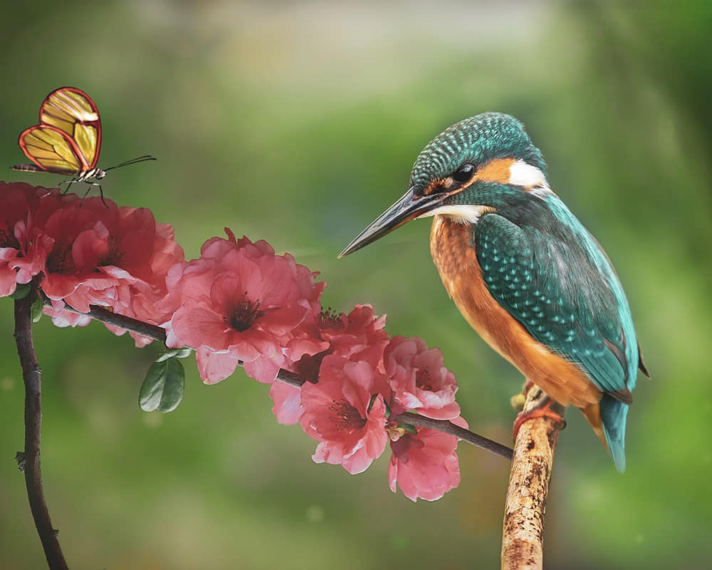 spring-5098479_19201000800 清明一過暮春好天氣,按揉穴位散肝火