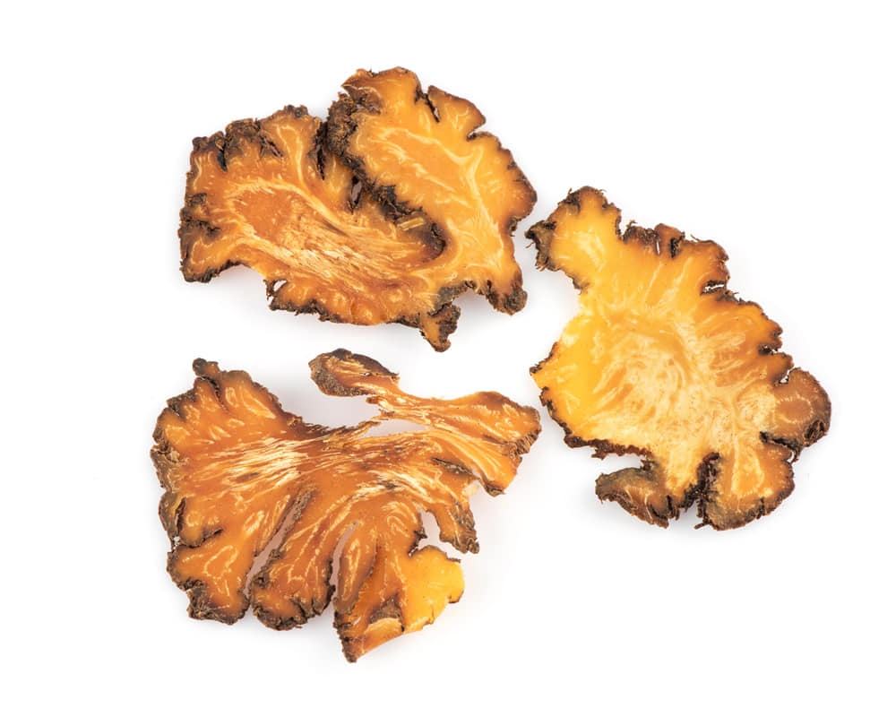 szechuan-lovage-selenium-ligusticum-striatum-dried-slice-isolated-white-11000 川芎精油功效百科