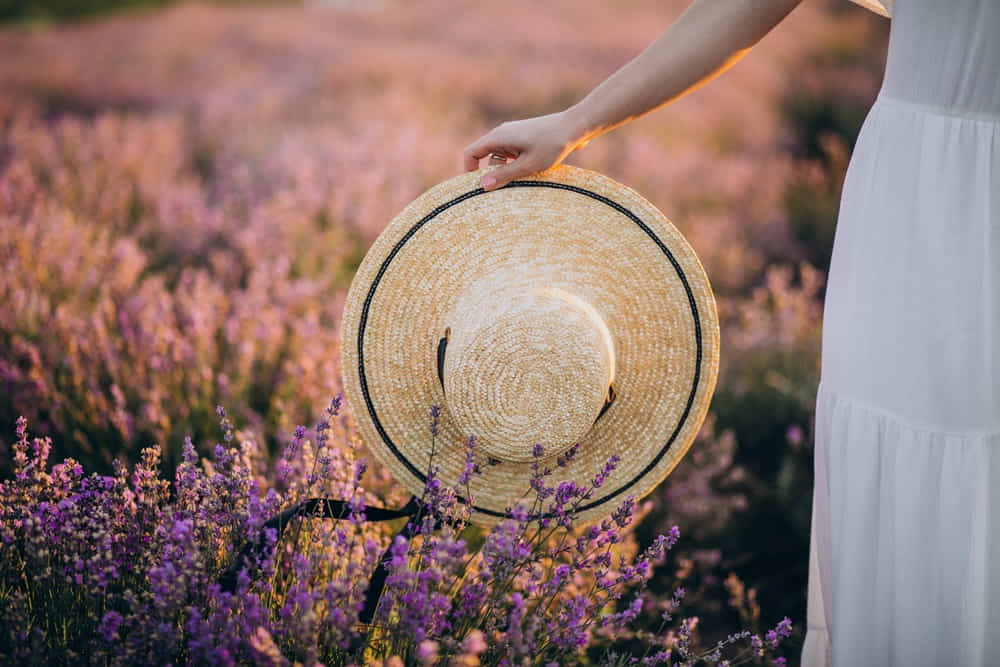 woman-holding-hat-lavander-field-close-up1000800 薰衣草純露功效百科
