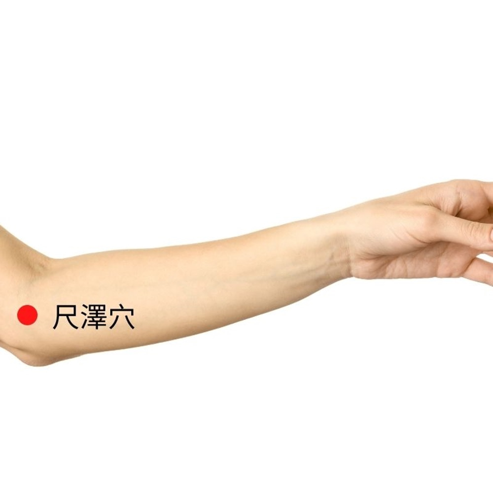 尺澤穴1000 首頁