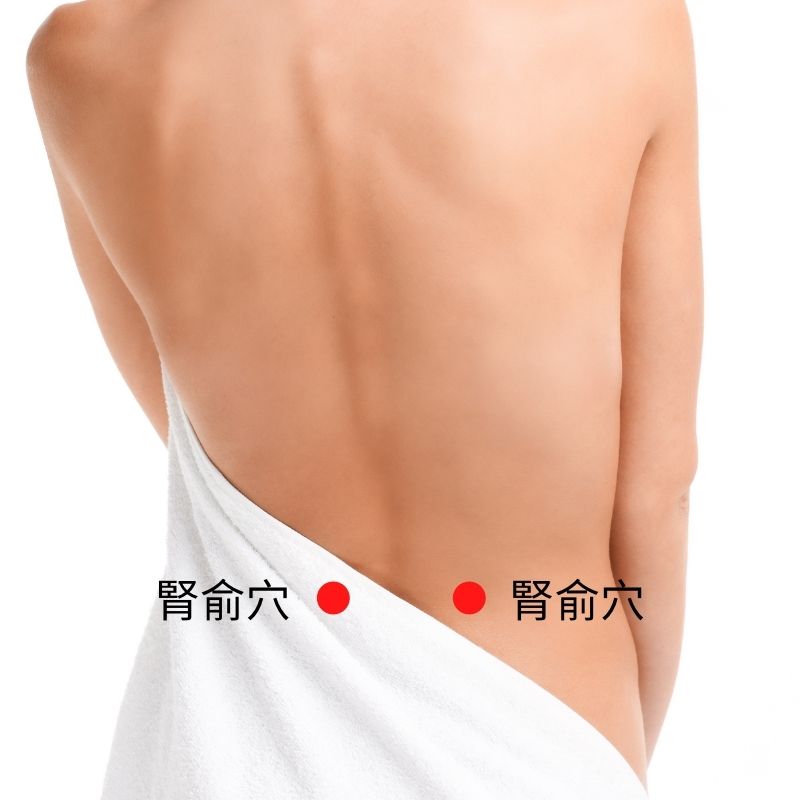 腎俞穴-1 八款調理體質的漢方按摩精油配方功效解析與應用