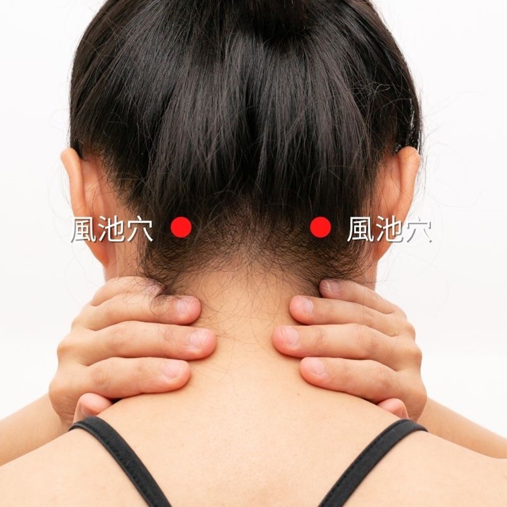 風池穴10001000 八款調理體質的漢方按摩精油配方功效解析與應用