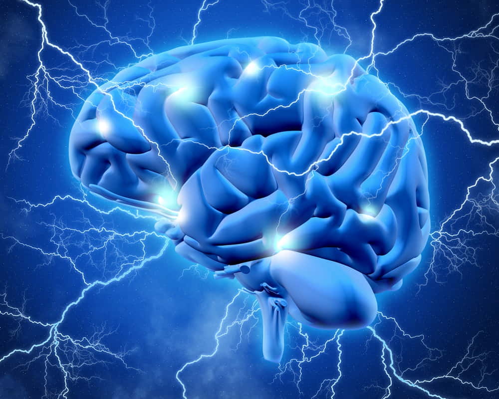 3d-brain-with-lightening1000800 首頁