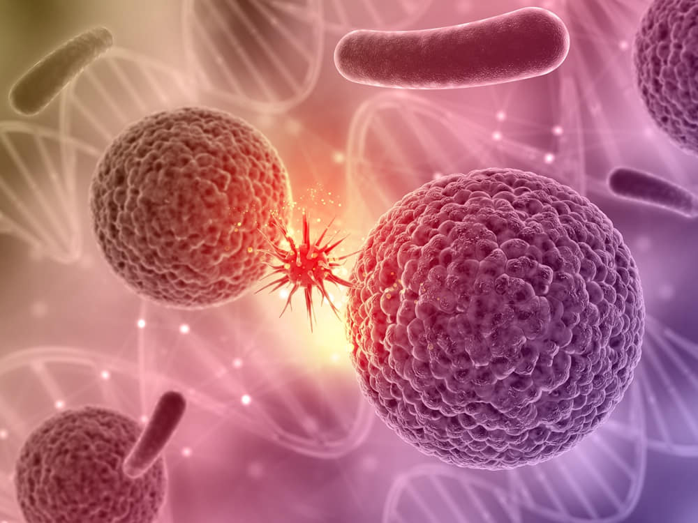 3d-render-medical-background-with-virus-cell-attacking-another1000 免疫系統是如何幫我們戰勝病毒和細菌的？