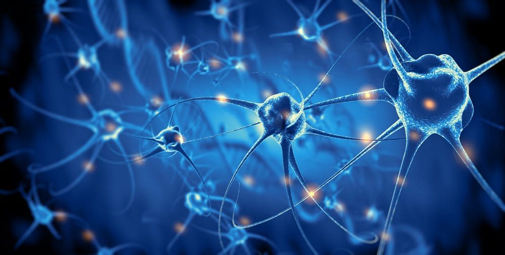 active-nerve-cells1000 怎樣用腦高效又不會累?神阿!請許我一個聰明的腦袋