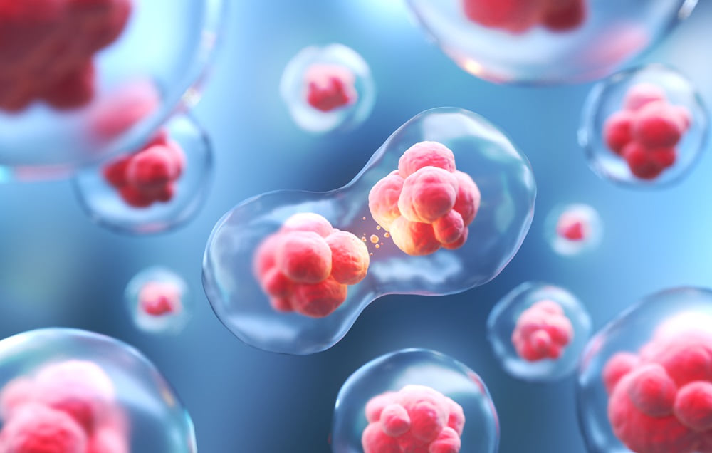 human-cell-embryonic-stem-cell-microscope-background1000 癌症的真相,看懂了癌症的前因後果 ,不再輕信癌症的謠言