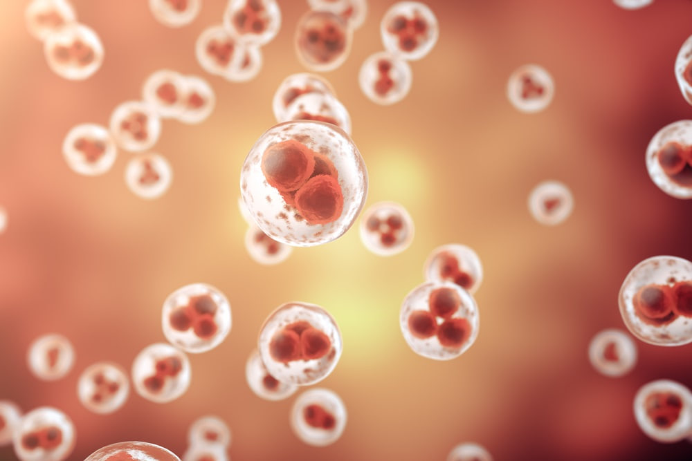 life-biology-medicine-scientific-molecular-research-dna1000 癌症的真相,看懂了癌症的前因後果 ,不再輕信癌症的謠言