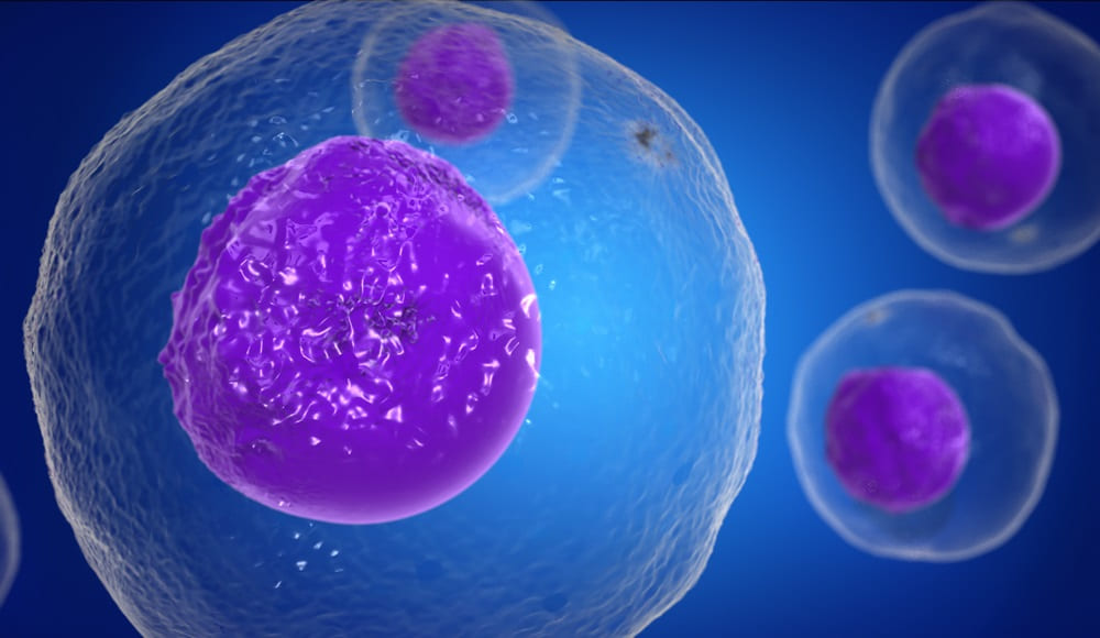 t-cells-attacking-cancer-cells-3d-illustration1000 免疫系統是如何幫我們戰勝病毒和細菌的？