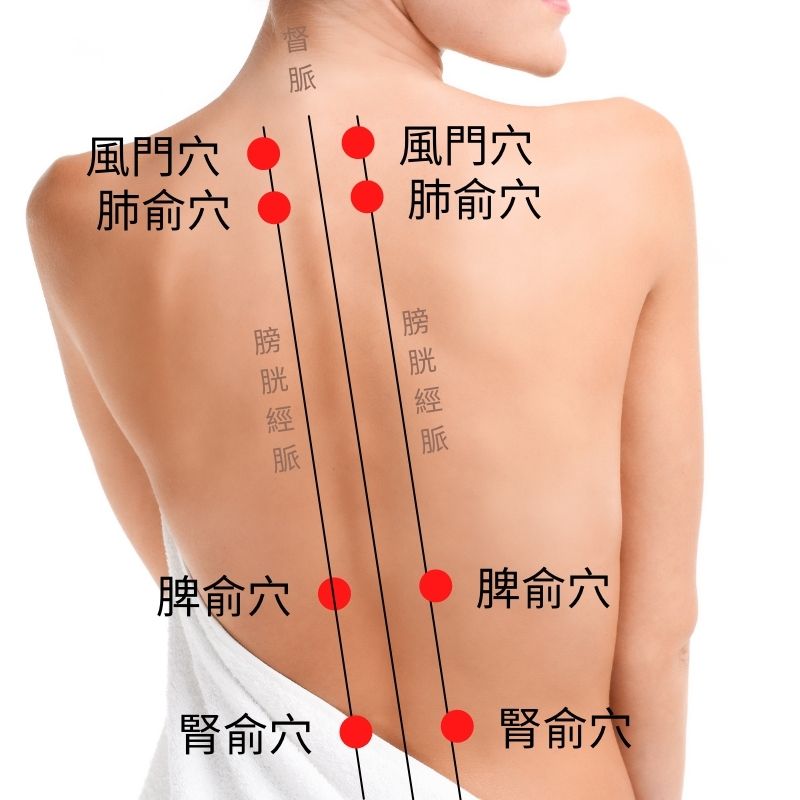 back-meridian 身體氣虛的專家：牛膝草莪朮漢方精油按摩油的精油經絡應用法