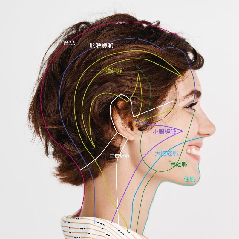 head-meridian 經絡被找到了嗎？舉世震驚：美國科學家發現人體新器官！