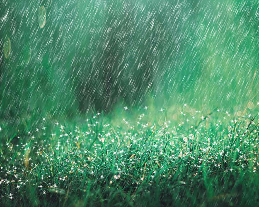 heavy-rain-shower-meadow-background-with-sparkle-bokeh-raining-nature_rain_1000800 穀雨到顧好三氣！養陽氣、祛濕氣、舒肝氣