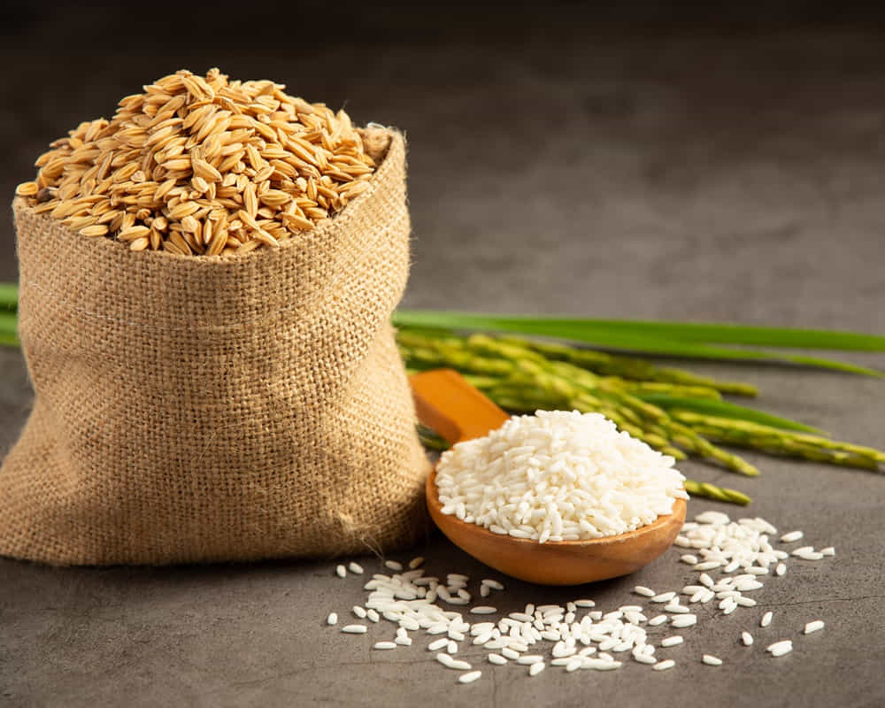 sack-rice-seed-with-white-rice-small-wooden-spoon-rice-plant_wheat_1000800 上帝開的藥房,哪些科研證實的植物性食物已達完美抗病?