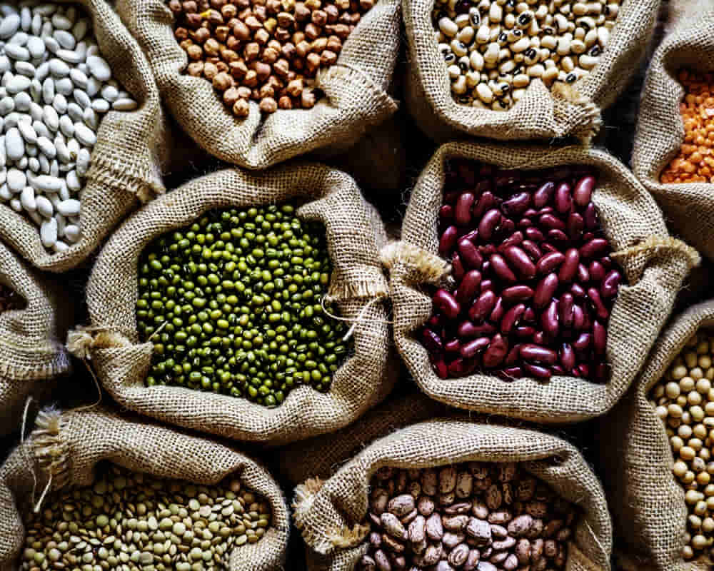 various-legumes_bean_1000800 上帝開的藥房,哪些科研證實的植物性食物已達完美抗病?