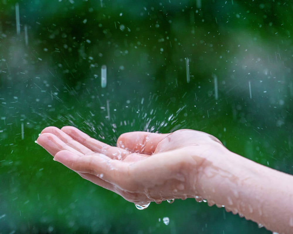 close-up-wet-female-hands-rain_rain-position_1000800 生活中總有些事情讓自己覺得很倒楣 l 心開了,運就開了!