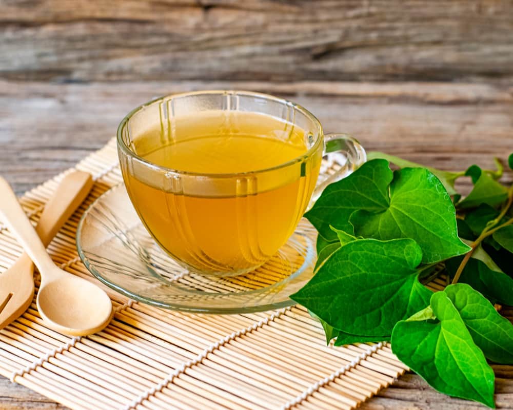 plu-kaow-houttuynia-cordata-thunb-tea魚腥草_1000800 有藥草界抗生素之稱的魚腥草是野菜也是藥草,清熱消炎抗病毒