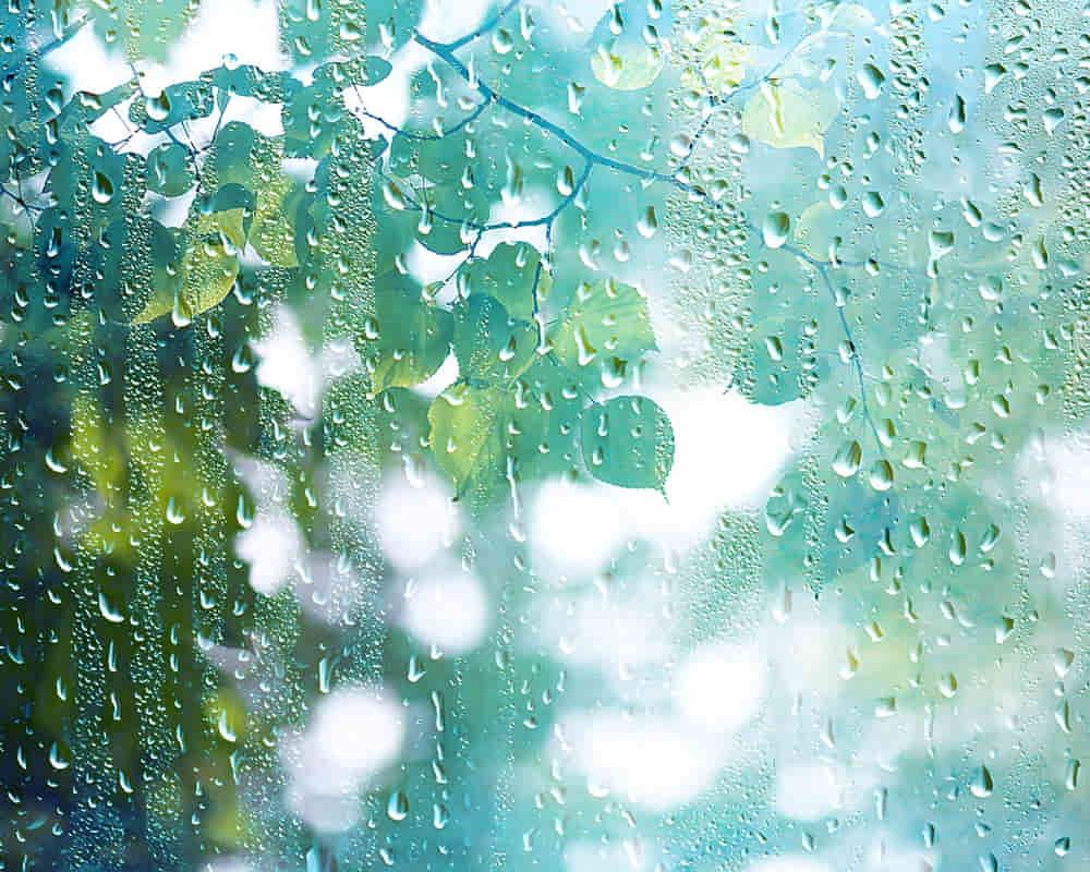 summer-rain-wet-glass-abstract-background-landscape-rainy-day-outside-window-blurred-background_rain-position_1000800 芒種節氣至，養陰清熱，袪濕除穢一身輕