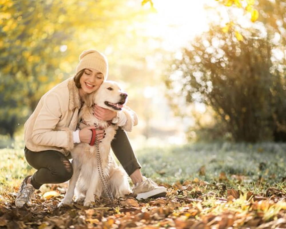 girl-with-dog_1303-4586pet_10008000 陽光可以治療你的病？生活中有太陽，生命才會有陽光