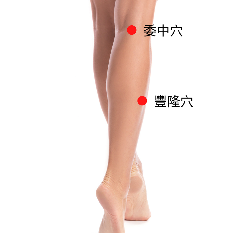 委中穴、豐隆穴 腰椎間盤突出導致的腰痛，中醫經絡三招緩解