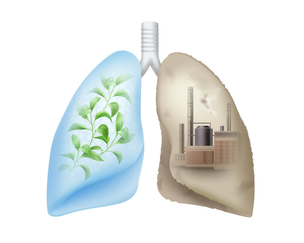 vector-human-lungs-with-green-leaves-chemical-factory1000800 你的身體是從哪裡開始老的？身體各器官的老化年限