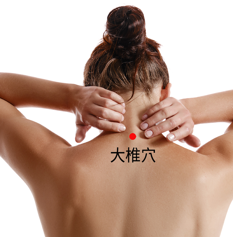大椎 身體氣虛的專家：牛膝草莪朮漢方精油按摩油的精油經絡應用法