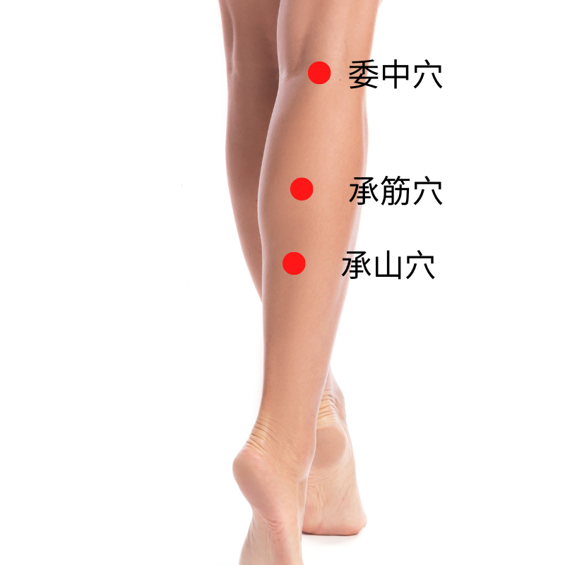 委中穴、承筋穴、承山穴 不是只有年老體衰才會肌肉萎縮