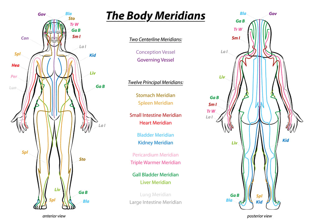 MERIDIAN-SYSTEM-CHART-Female-body-with-principal-and-centerline-acupuncture-meridians-anterior-and-posterior-view-Traditional-Chinese-Medicine.-轉換_1000 中醫視角下的癌症：從「臟腑失衡」到「扶正祛邪」的辯證施治