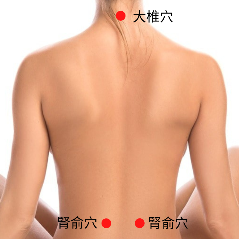 大椎穴、腎俞穴 秋分養陰潤肺，不忘溫脾胃