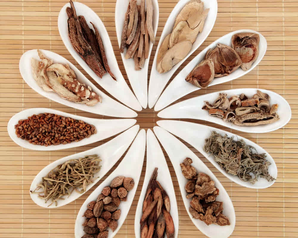 shutterstock_chinese-herbal-medicine-selection-white-porcelain-125892860_tcm1000800 中醫裡常說的忌口是什麼?哪些人哪些食物要忌口?