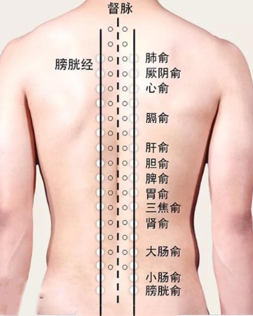 %E7%B6%93%E8%84%88%E5%9C%965 背俞穴的厥陰俞與心包經對應，有寬胸理氣、寧心安神之效