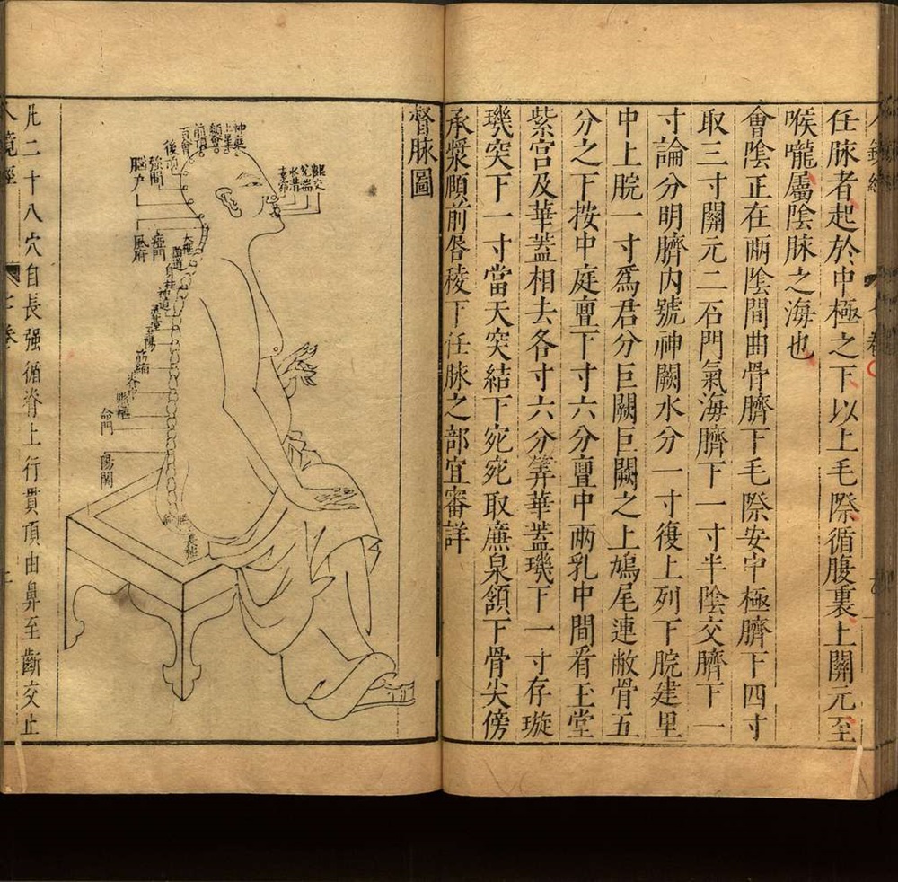 traditional-chinese-medicine-13_1000 中醫陰陽二十五人