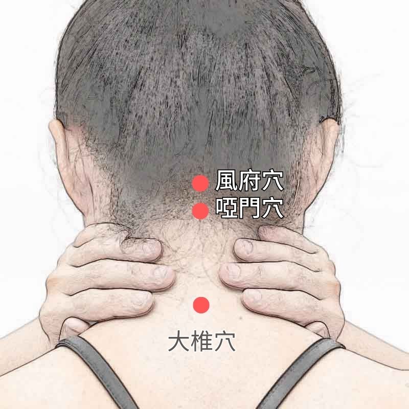 acupoint-neck-6 感冒初期別忽視！從後頸緊繃到落枕，刮痧幫你預防寒氣侵入 | 淳講堂討論內容