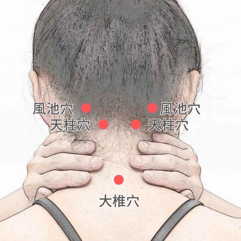 acupoint-neck-7 感冒初期別忽視！從後頸緊繃到落枕，刮痧幫你預防寒氣侵入 | 淳講堂討論內容