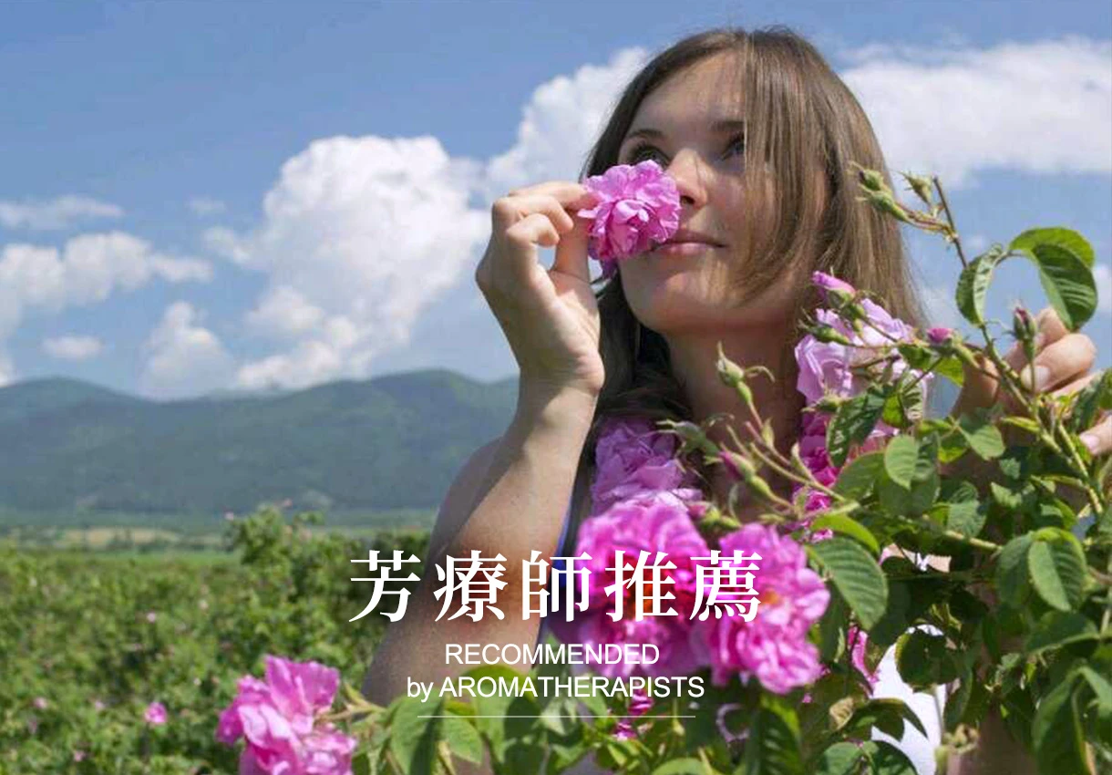 芳療師推薦暢銷必備系列