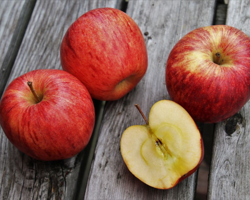 352 果實裡的科學:解鎖十二大抗癌水果的細胞防禦術