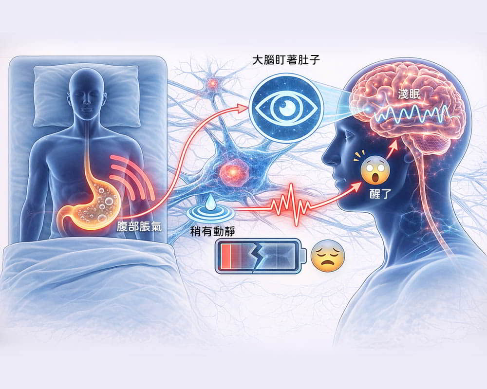 腹部脹氣-淺眠 首頁