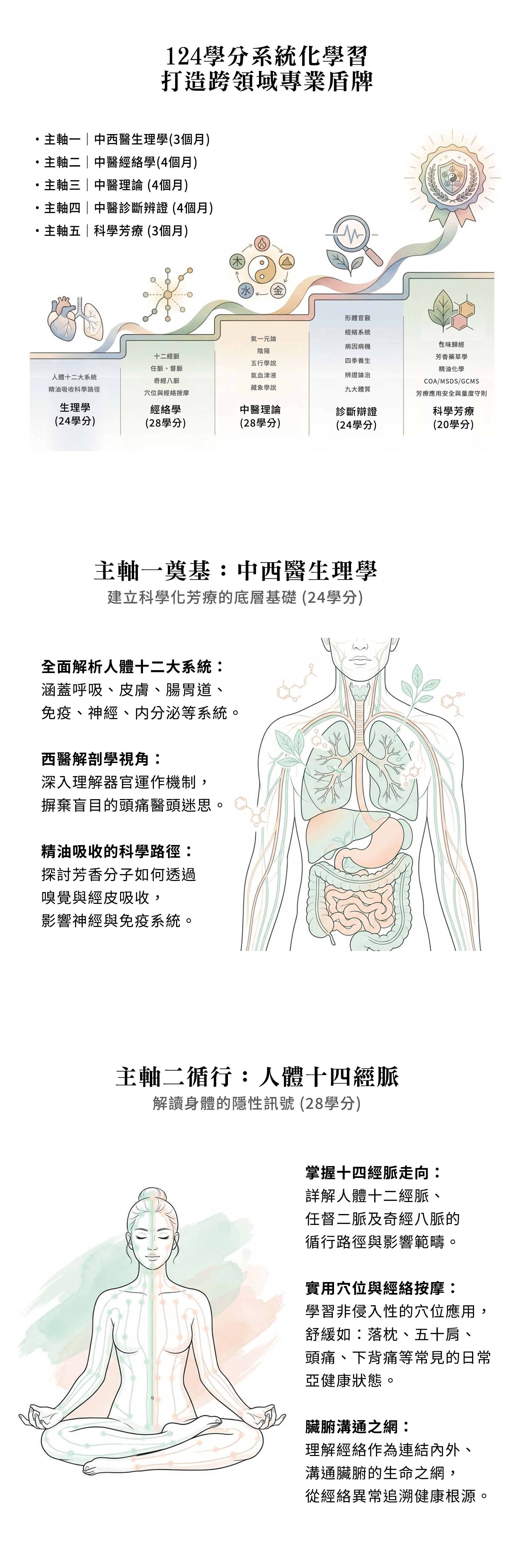 2.-中醫芳療簡章改版20250306-IV-V-VI_1600-3 漢方芳療經絡健康管理師證照班招生簡章(2026最新)