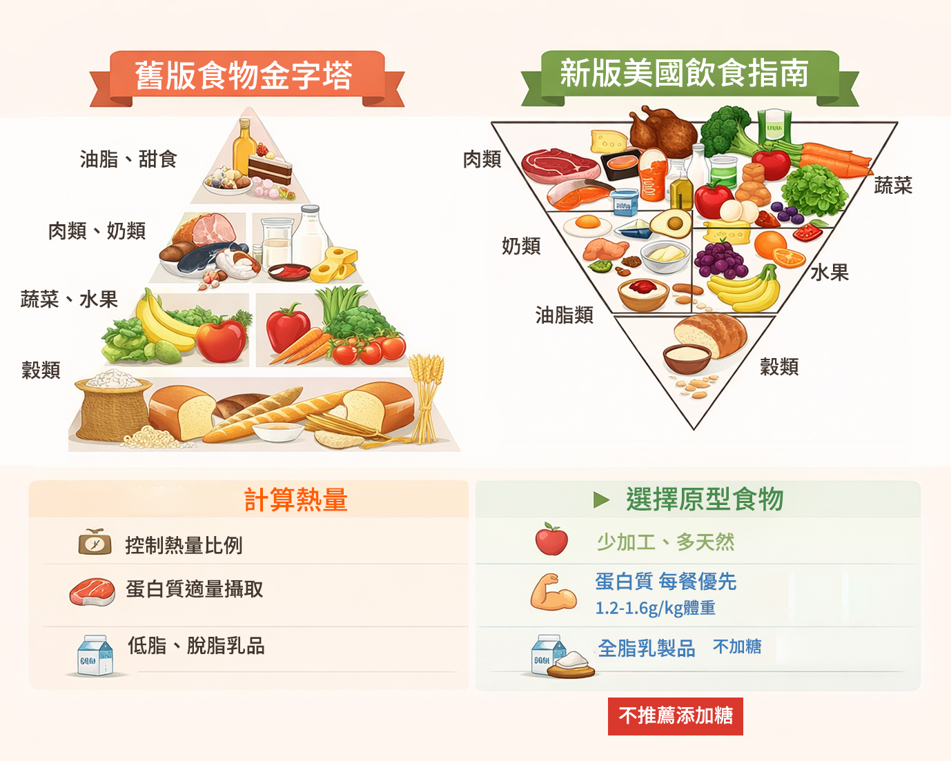 新舊飲食金字塔 99%的人都罵錯重點？一次看懂美國2026膳食指南的「真食物」革命