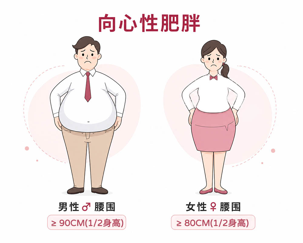 waist 被皮質醇偷走睡眠、情緒與好身材？一篇帶你科學破解「壓力荷爾蒙」的迷思與對策