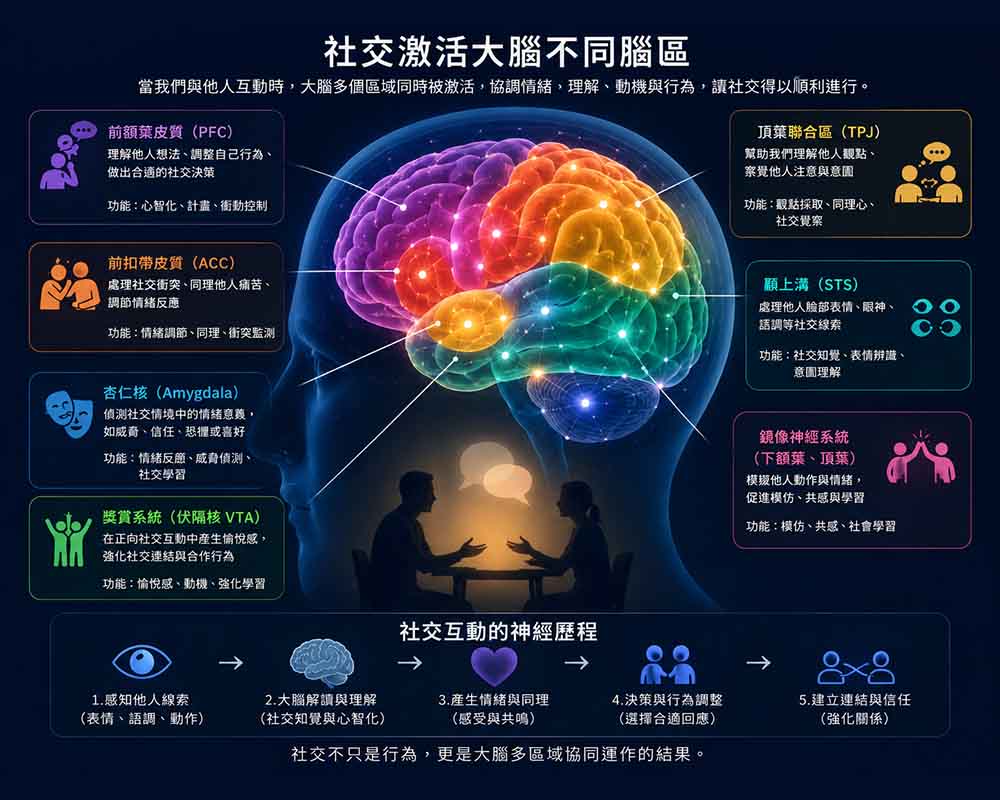 brain2 激活神經可塑性的5個習慣,讓大腦終身進化